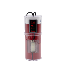 Festoon 42mm White